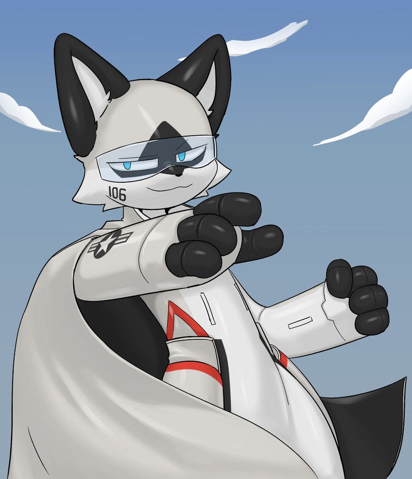 aerocats created by carbine wolf
