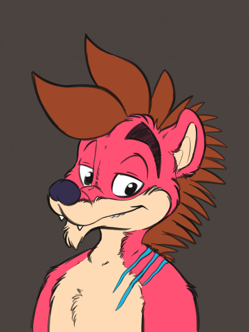 falcy hedgehog created by coolskeltal95