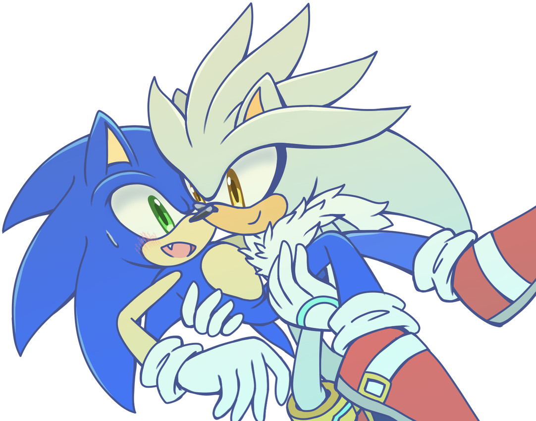 silver the hedgehog and sonic the hedgehog (sonic the hedgehog (series) and etc) created by starlightbell23