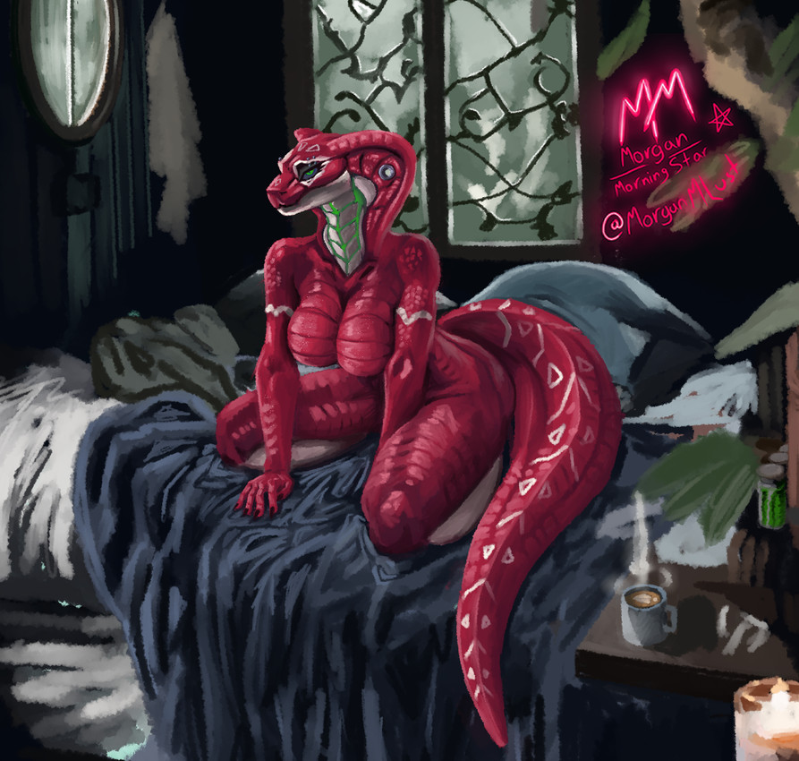 created by morgan morningstar