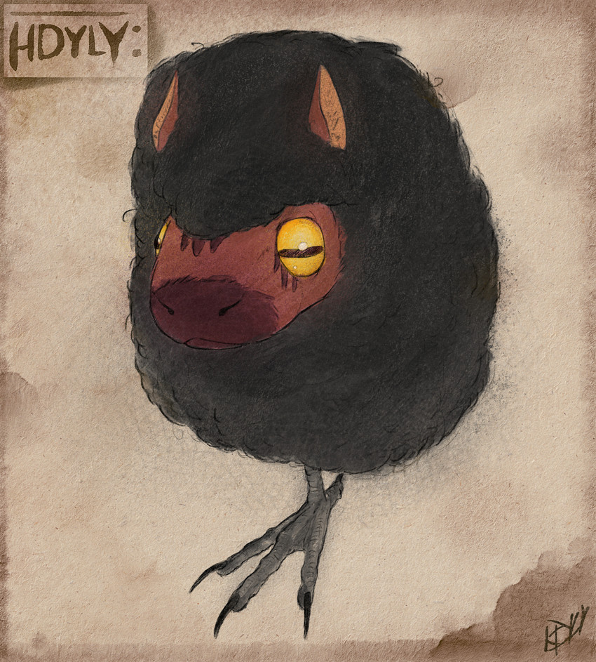 and created by hdyly
