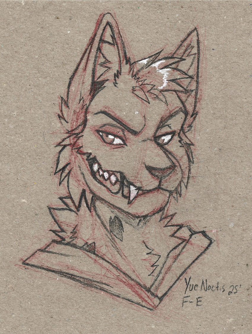conchobhar created by yuenoctis