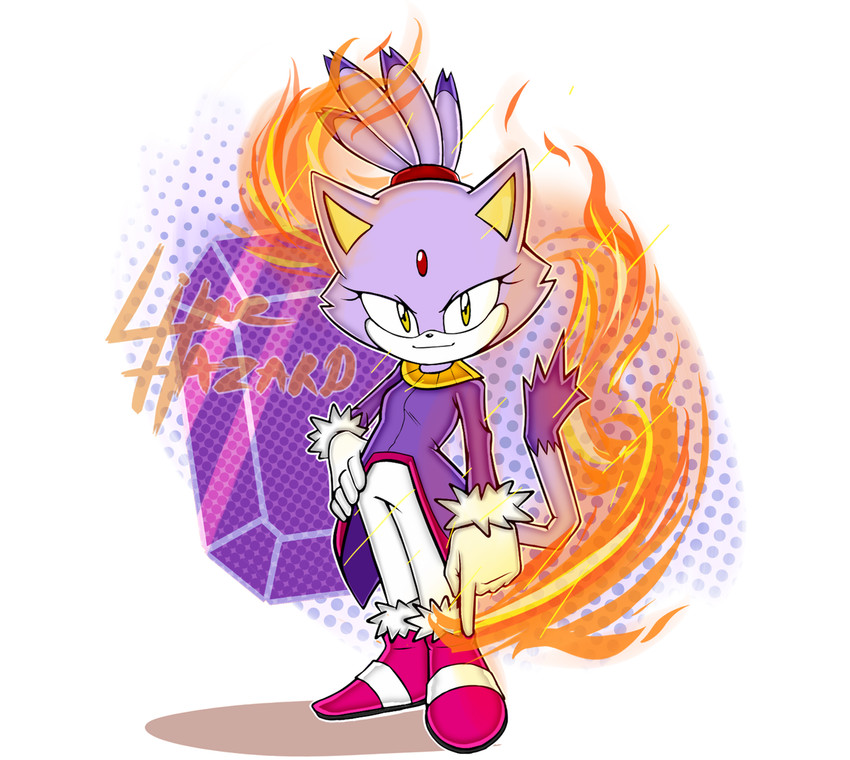 blaze the cat (sonic the hedgehog (series) and etc) created by limehazard