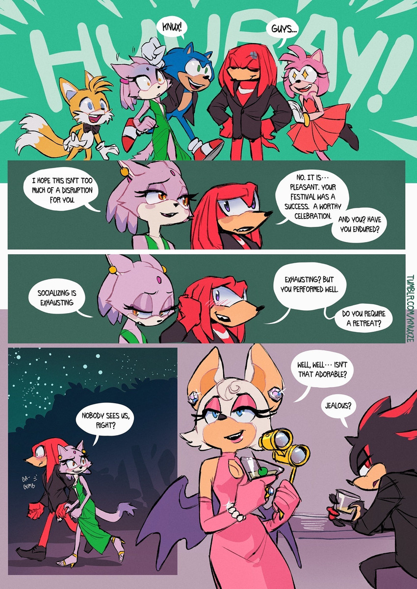 amy rose, blaze the cat, knuckles the echidna, miles prower, and sonic the hedgehog (sonic the hedgehog (series) and etc) created by knuxze