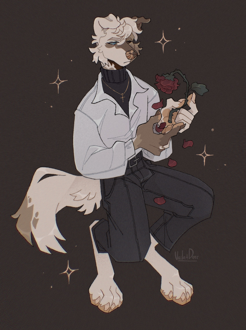 created by vailet deer