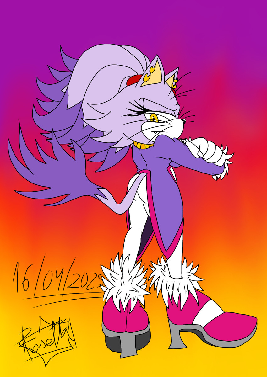 blaze the cat (sonic the hedgehog (series) and etc) created by rosetta456