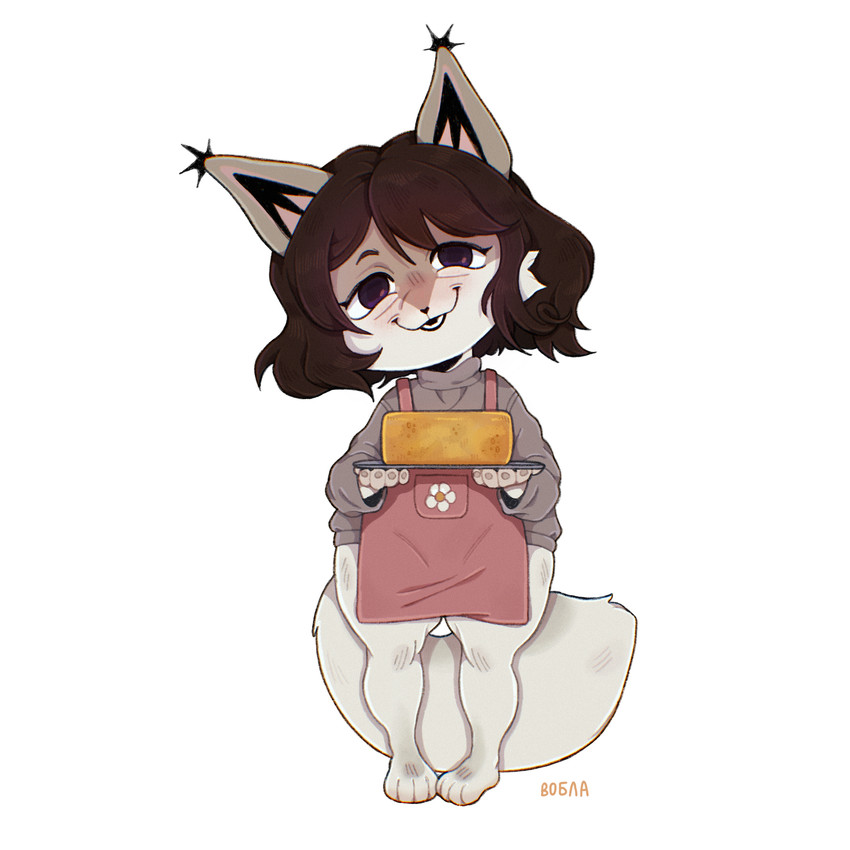 felix created by vobla