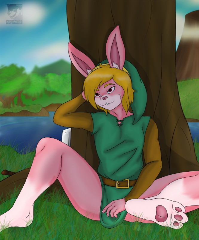 link (the legend of zelda and etc) created by grinn3r