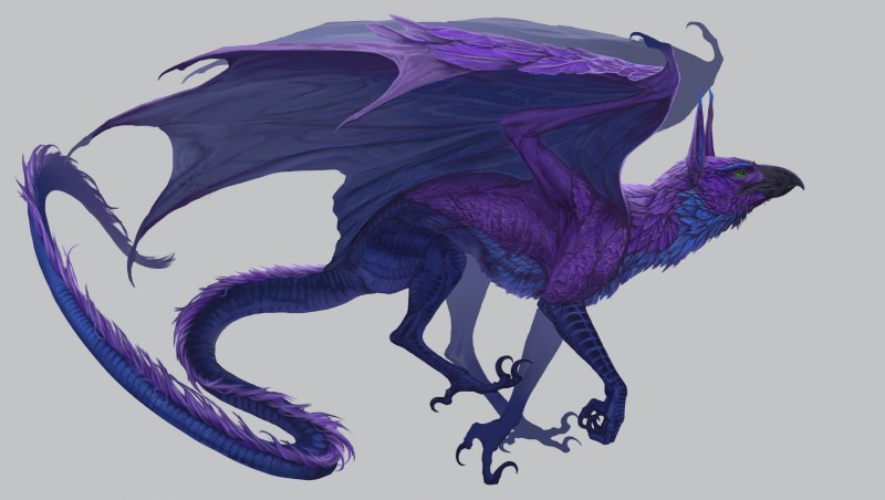 drake griffin (mythology) created by silgiriya mantsugosi