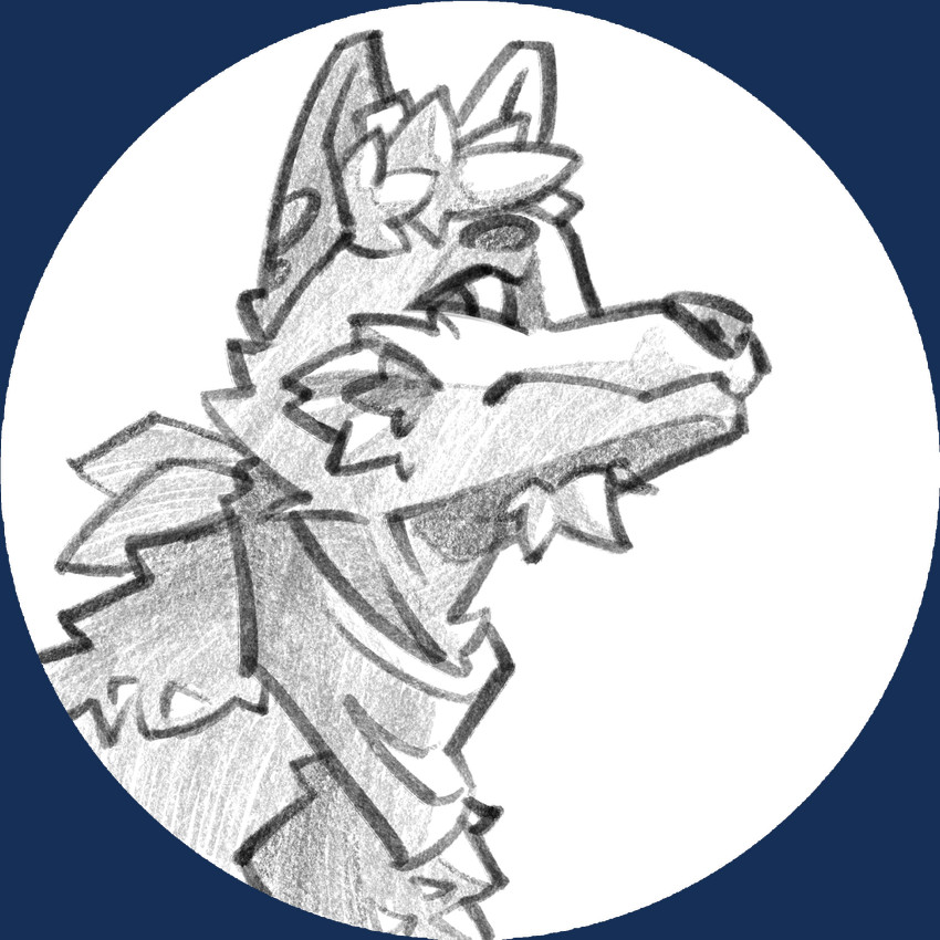 kopiqu created by test1a