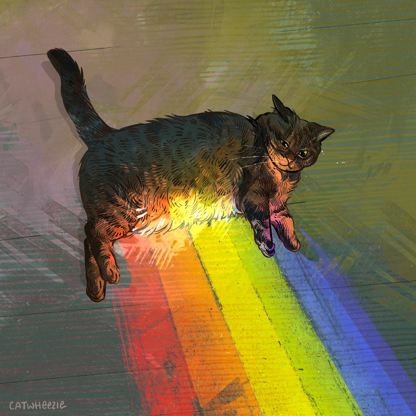 homophobia cat and etc created by catwheezie