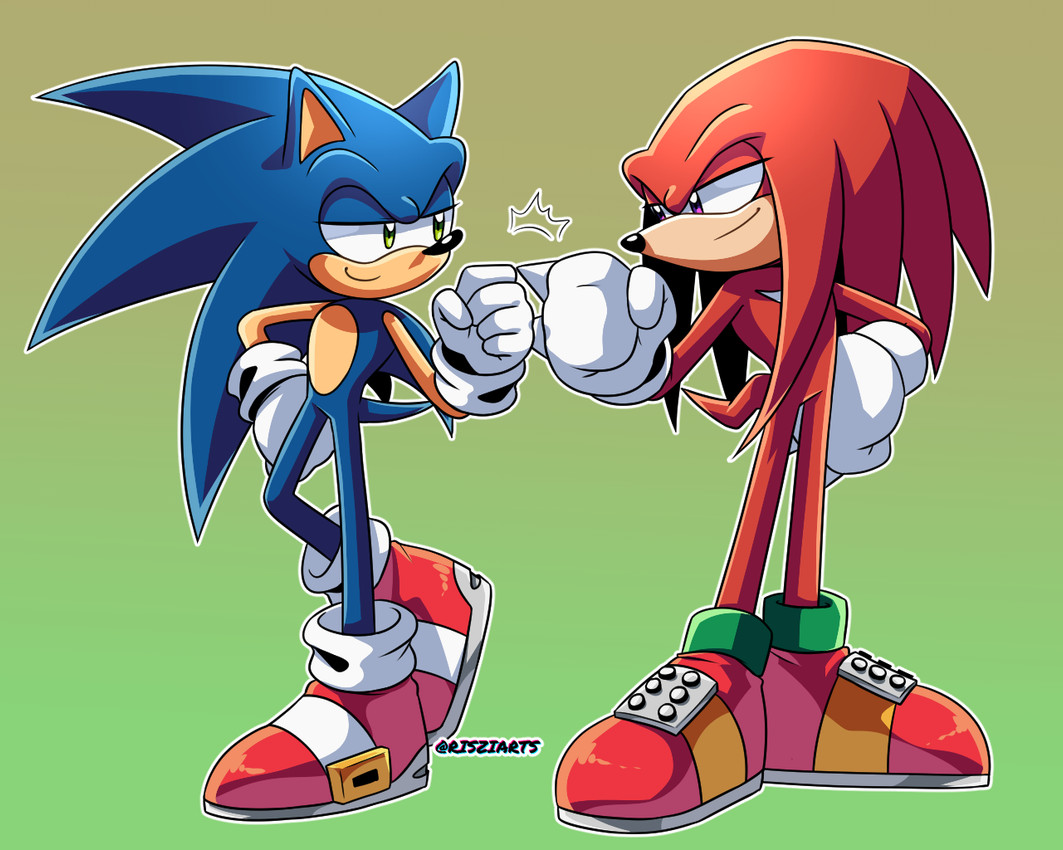 knuckles the echidna and sonic the hedgehog (sonic the hedgehog (series) and etc) created by risziarts