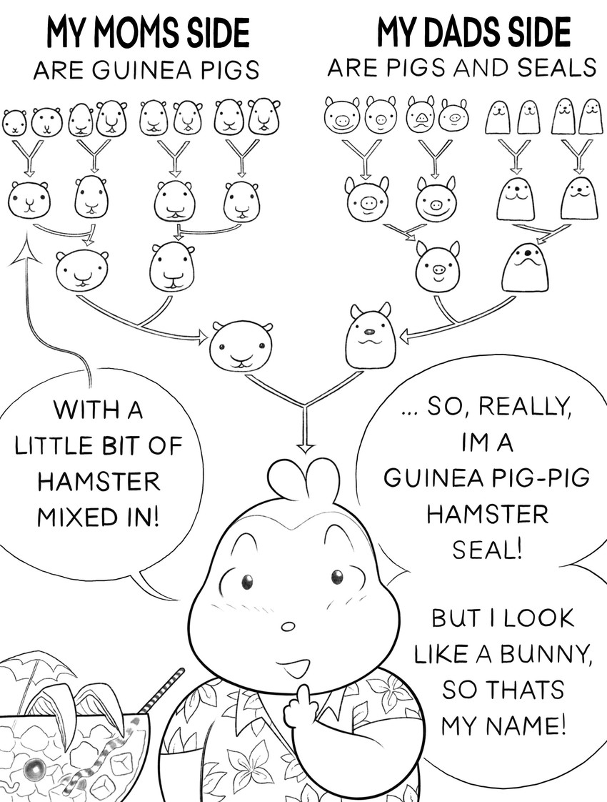 bunny created by anatola howard (maroonracoon)