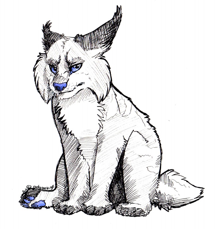 created by octobertiger and rayxray