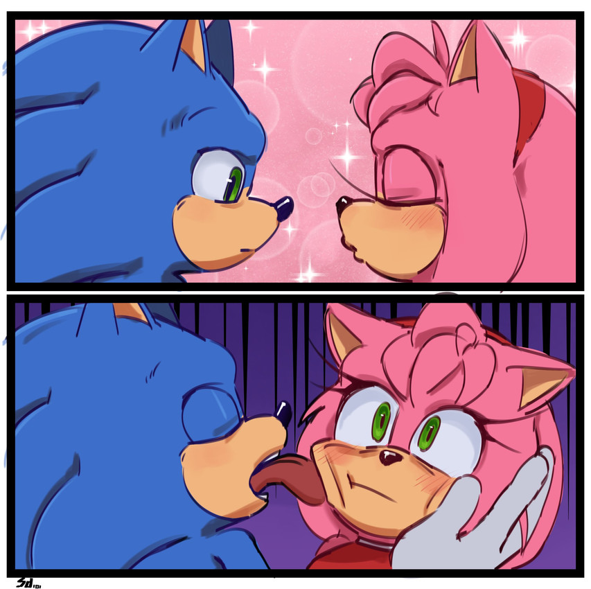 amy rose and sonic the hedgehog (sonic the hedgehog (series) and etc) created by sd101h00