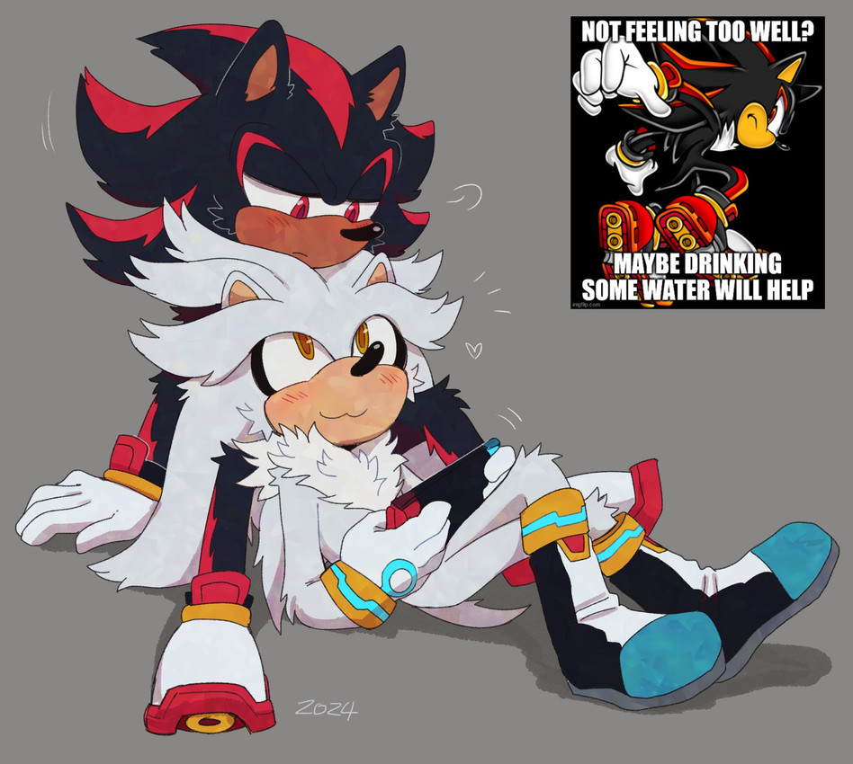 shadow the hedgehog and silver the hedgehog (sonic the hedgehog (series) and etc) created by bongwater777