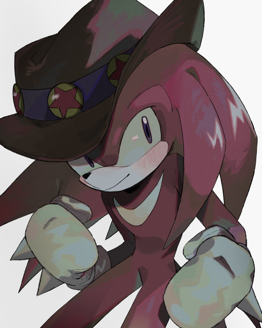 knuckles the echidna (sonic the hedgehog (series) and etc) created by xxxxx jjz