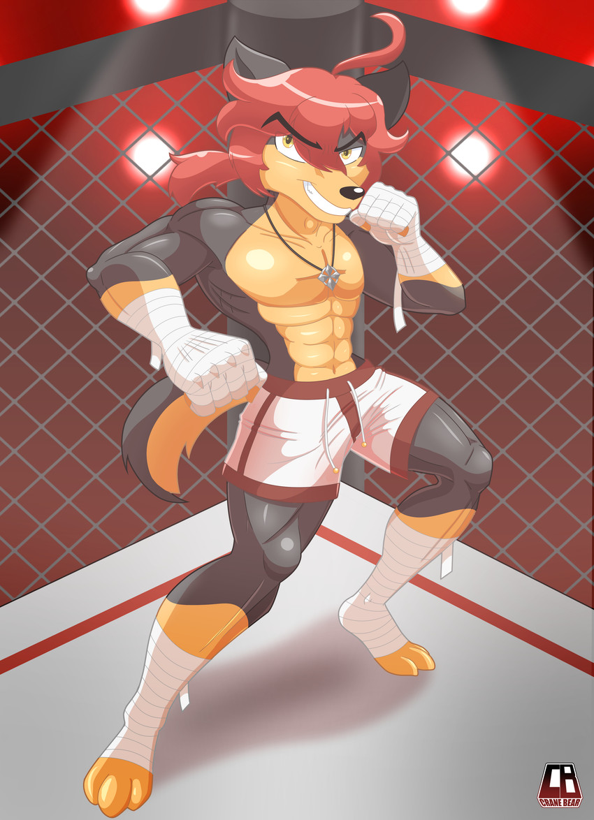 ryuichi kiwamelu created by cranebear