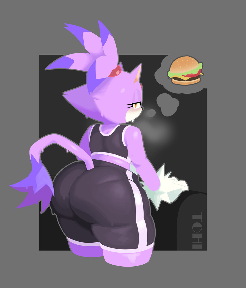 blaze the cat (sonic the hedgehog (series) and etc) created by theonehornedimp