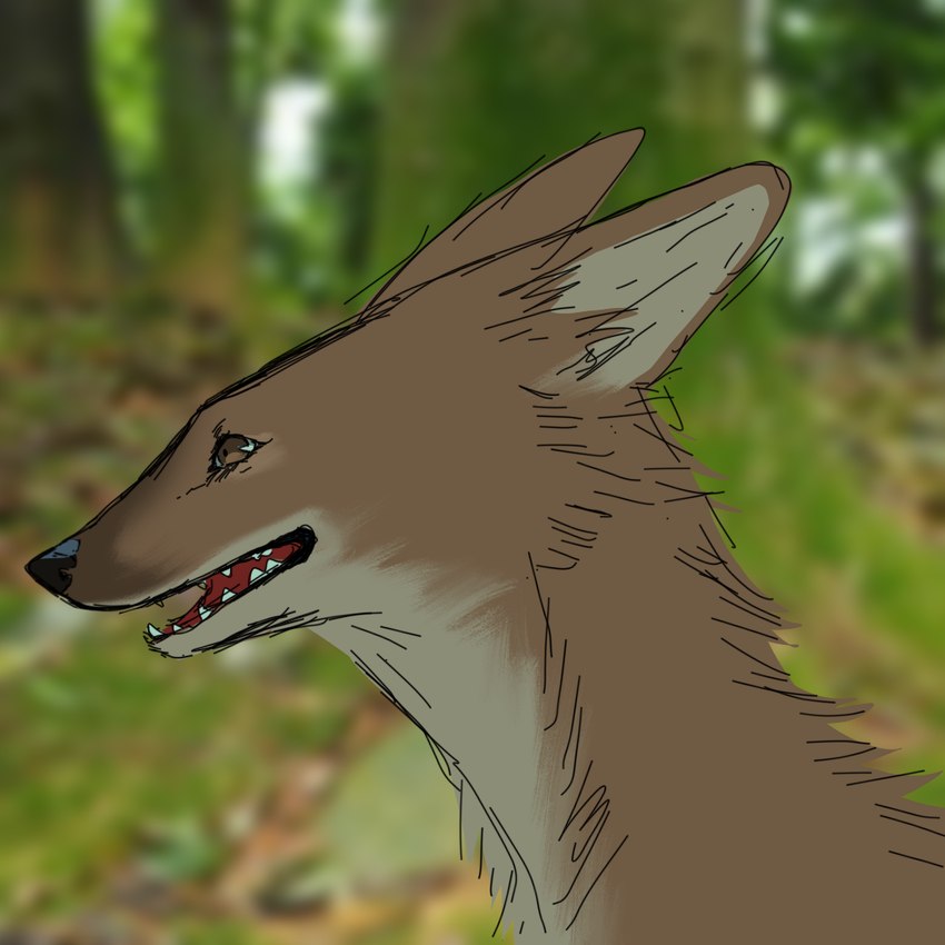 created by silverywhite