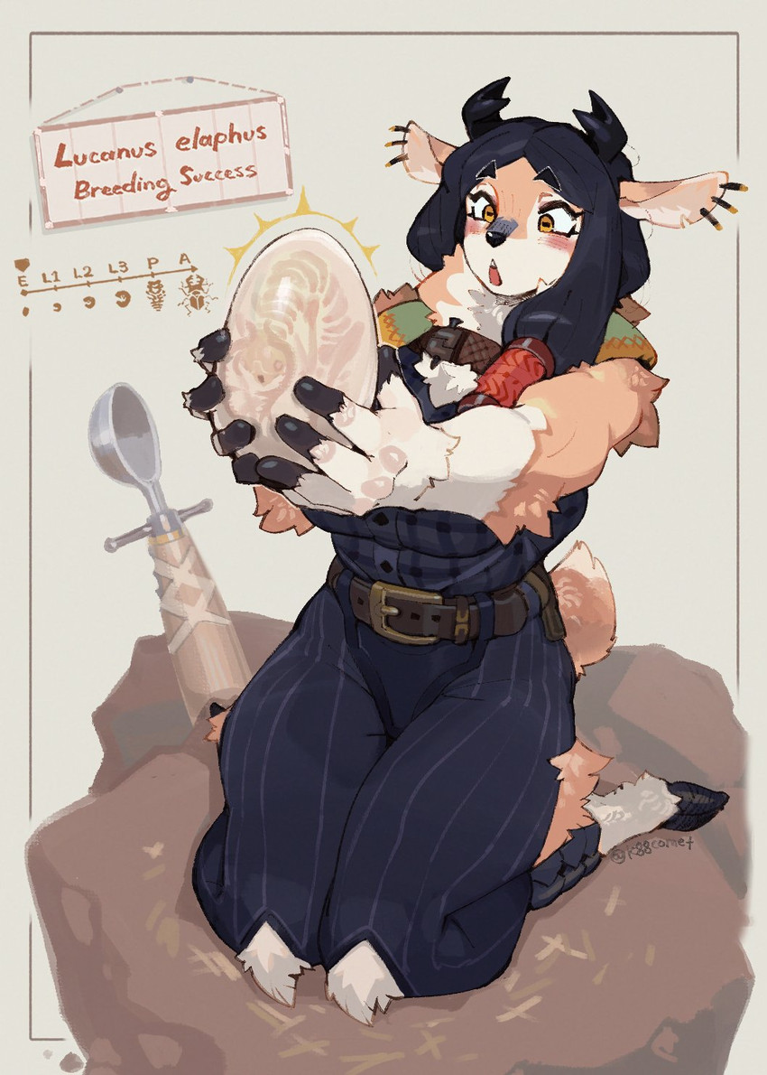 created by hideki kaneda