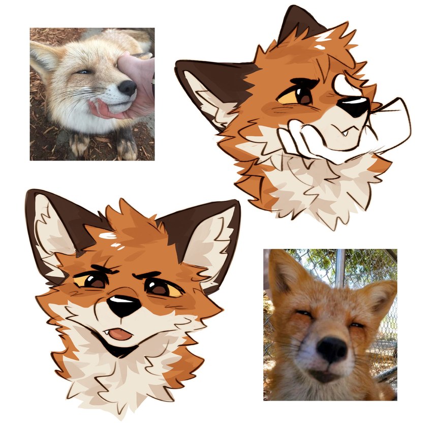 created by atkaso