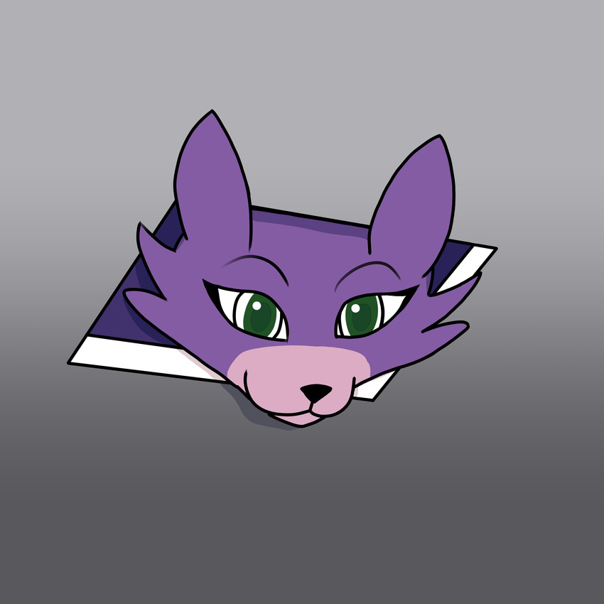 ceiling cat created by quake-1