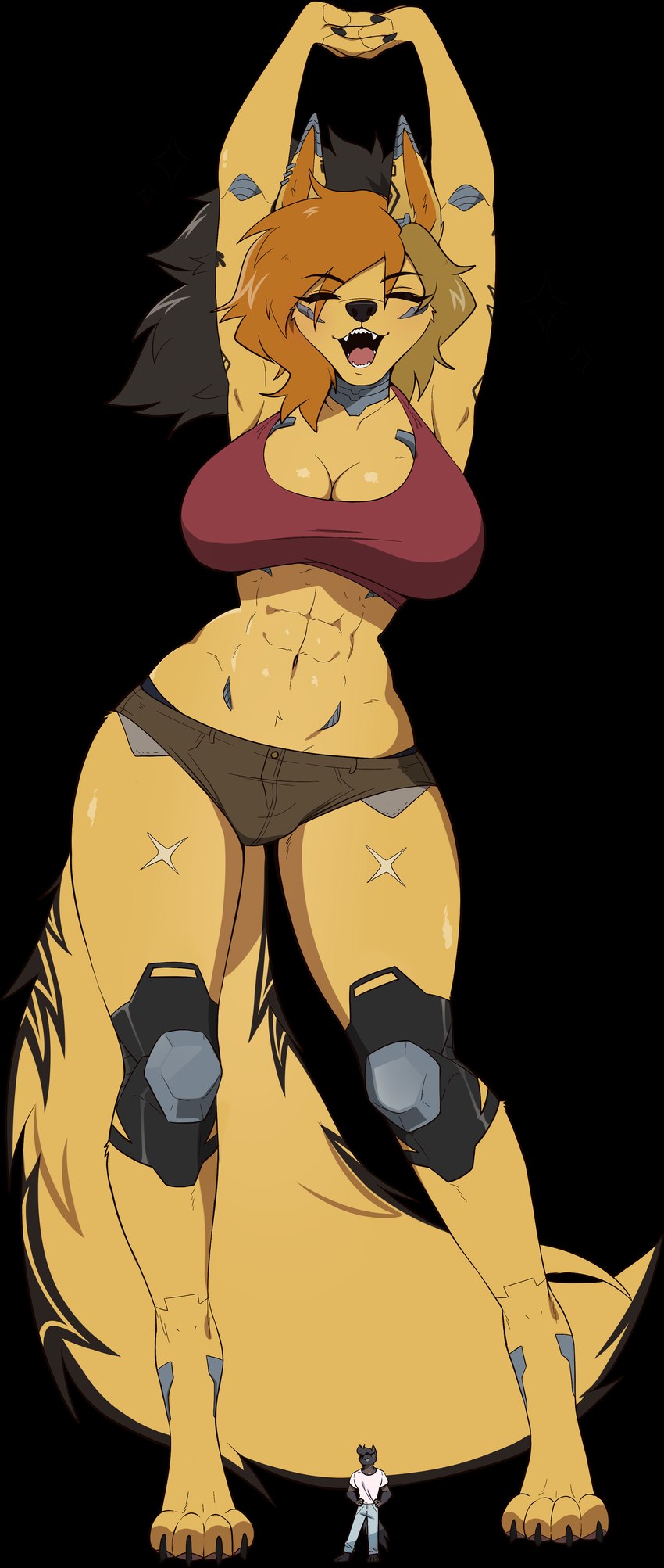 dexter and flintier jackal created by anonymous artist