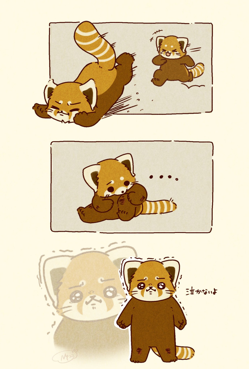 created by shi nominmin