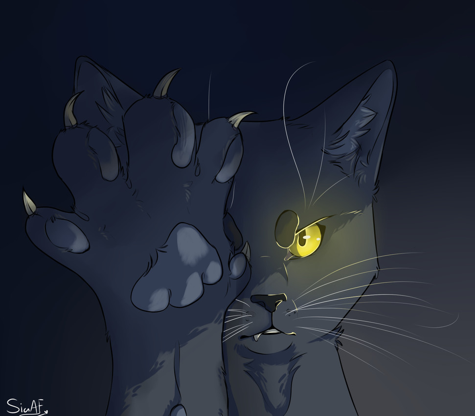 varjak paw (varjak paw) created by siawolfurry