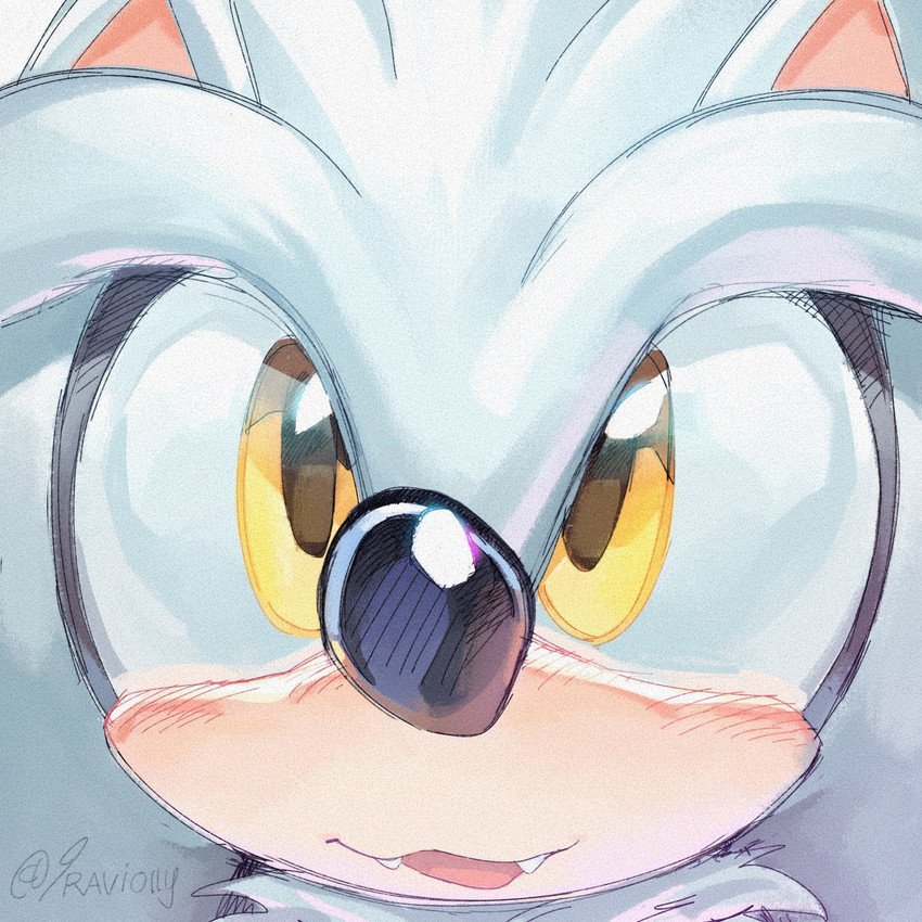 silver the hedgehog (sonic the hedgehog (series) and etc) created by 9raviolly