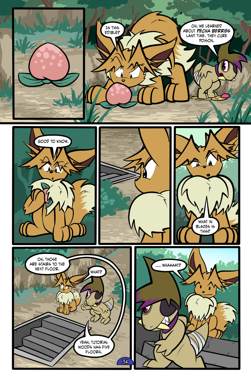 virmir and zinc (pokemon mystery dungeon and etc) created by virmir