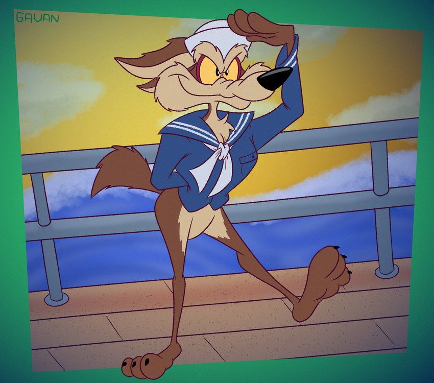 wile e. coyote (warner brothers and etc) created by gavanzude