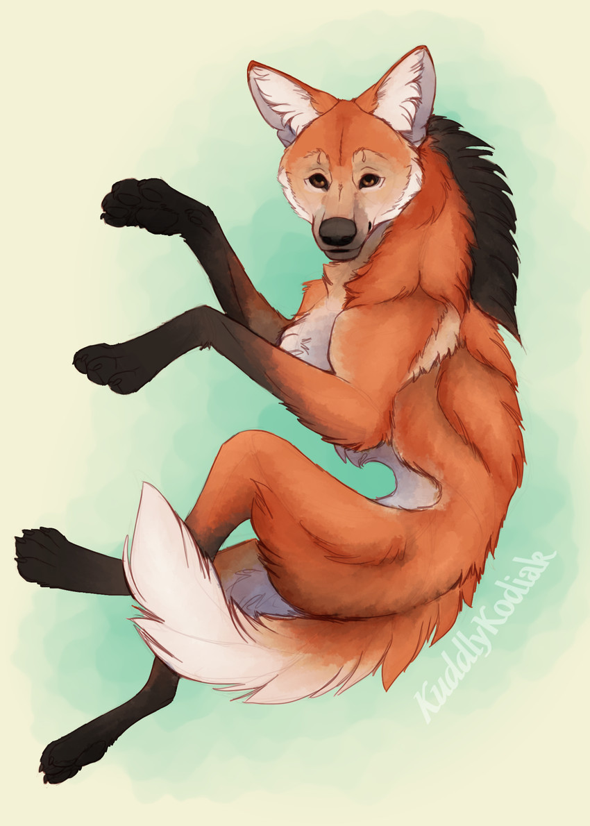 created by kuddlykodiak