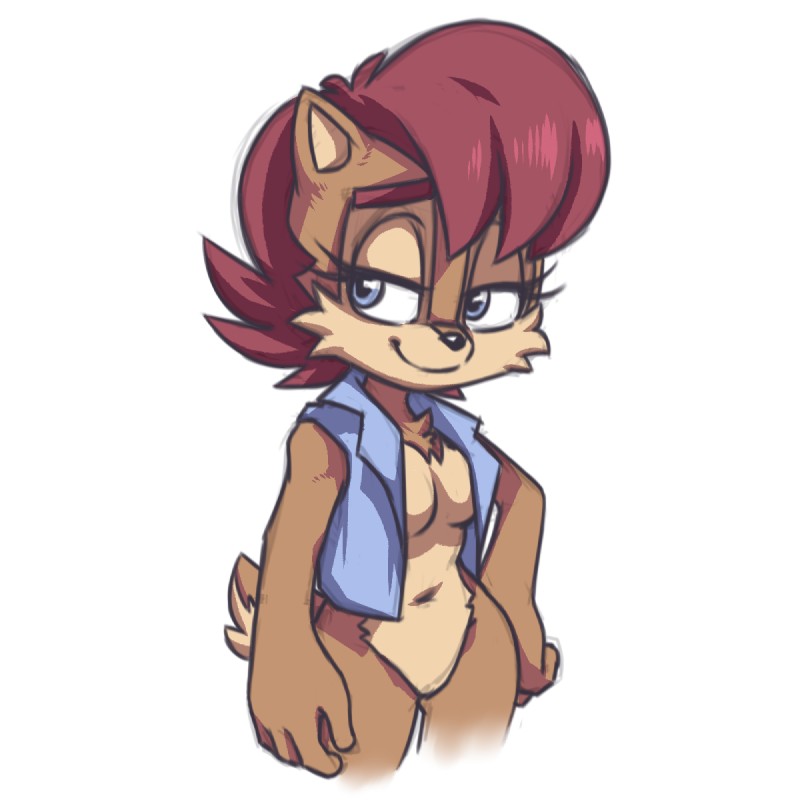 sally acorn (sonic the hedgehog (series) and etc) created by plagueofgripes