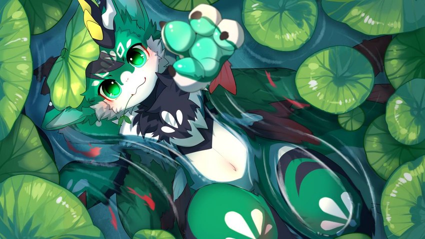 lotush created by hlg7777
