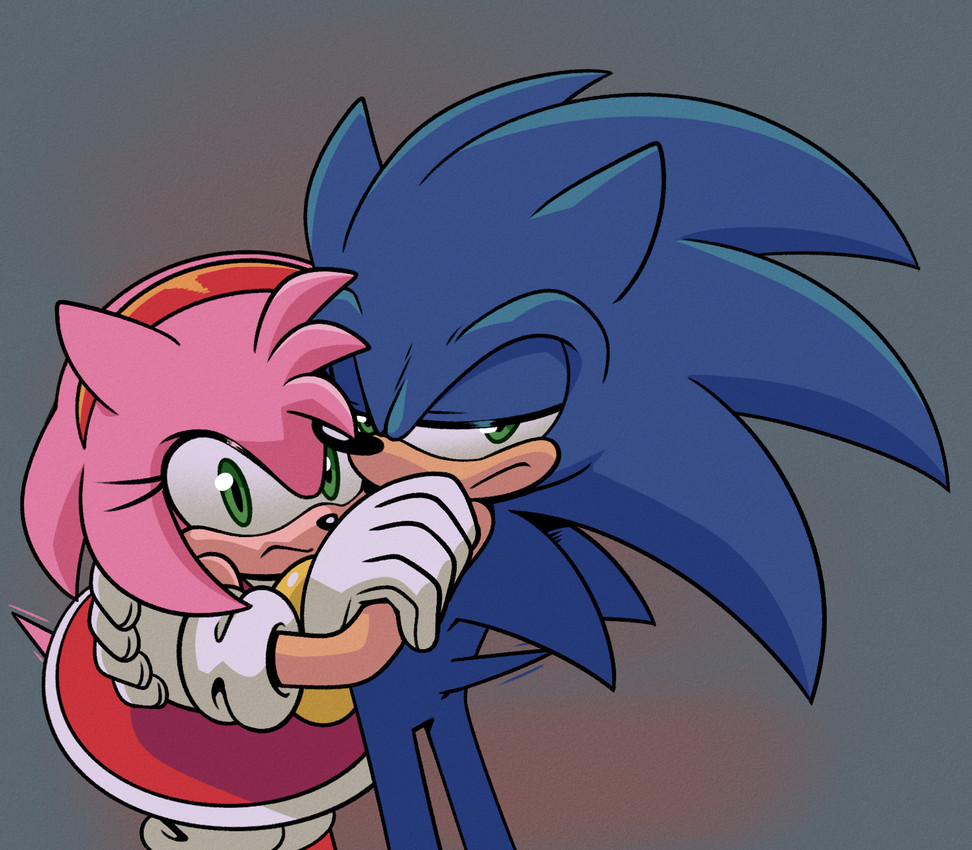 amy rose and sonic the hedgehog (sonic the hedgehog (series) and etc) created by hyoumaru