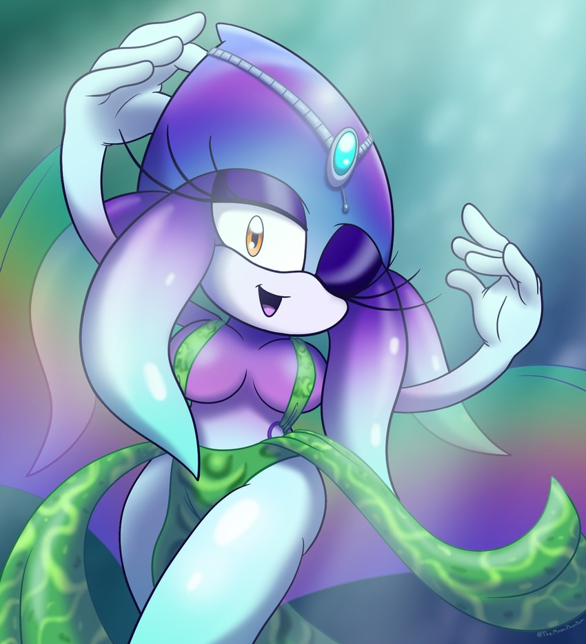 sonic the hedgehog (series) and etc created by shadowwalk