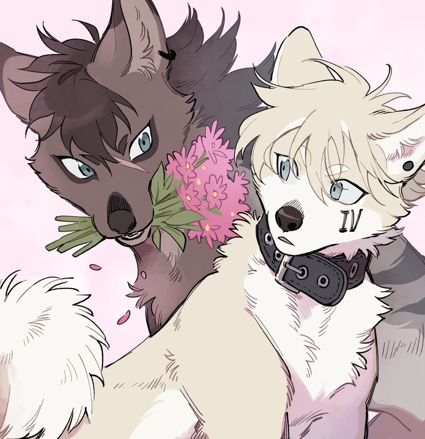 noki and valo created by kaburion