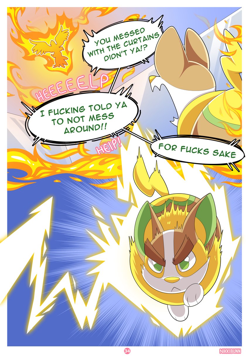 ari the talonflame and ellie the braixen (nintendo and etc) created by nikkibunn