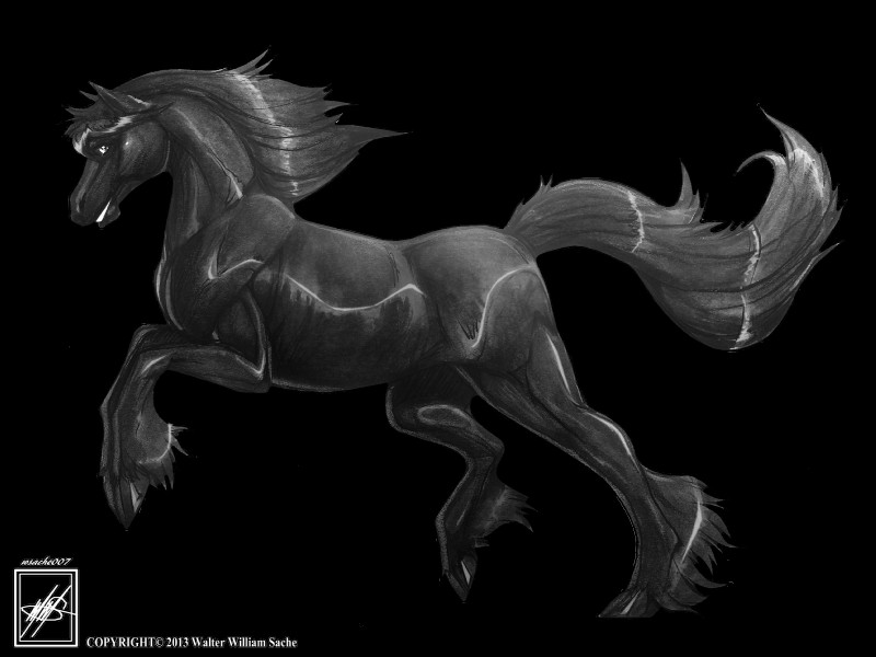 created by walter sache