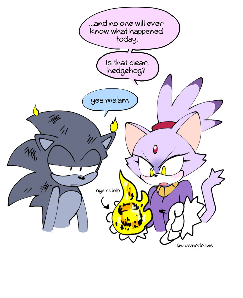 blaze the cat and sonic the hedgehog (sonic the hedgehog (series) and etc) created by quavernsfw