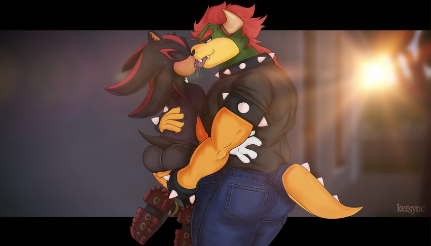 bowser and shadow the hedgehog (sonic the hedgehog (series) and etc) created by kersync