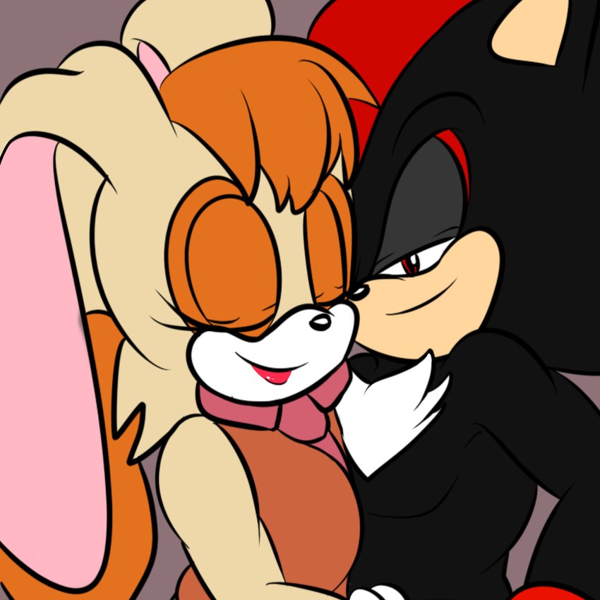 shadow the hedgehog and vanilla the rabbit (sonic the hedgehog (series) and etc) created by soulyagami64