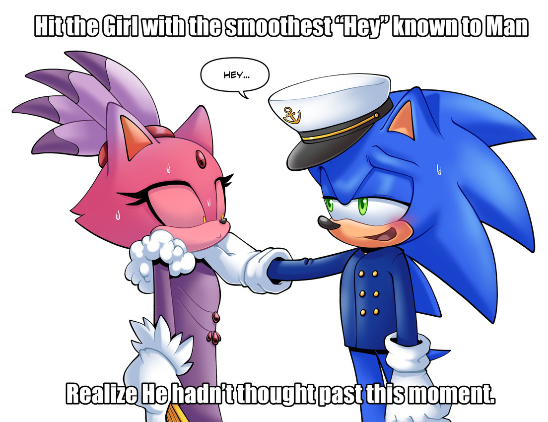 blaze the cat and sonic the hedgehog (the murder of sonic the hedgehog and etc) created by thenovika