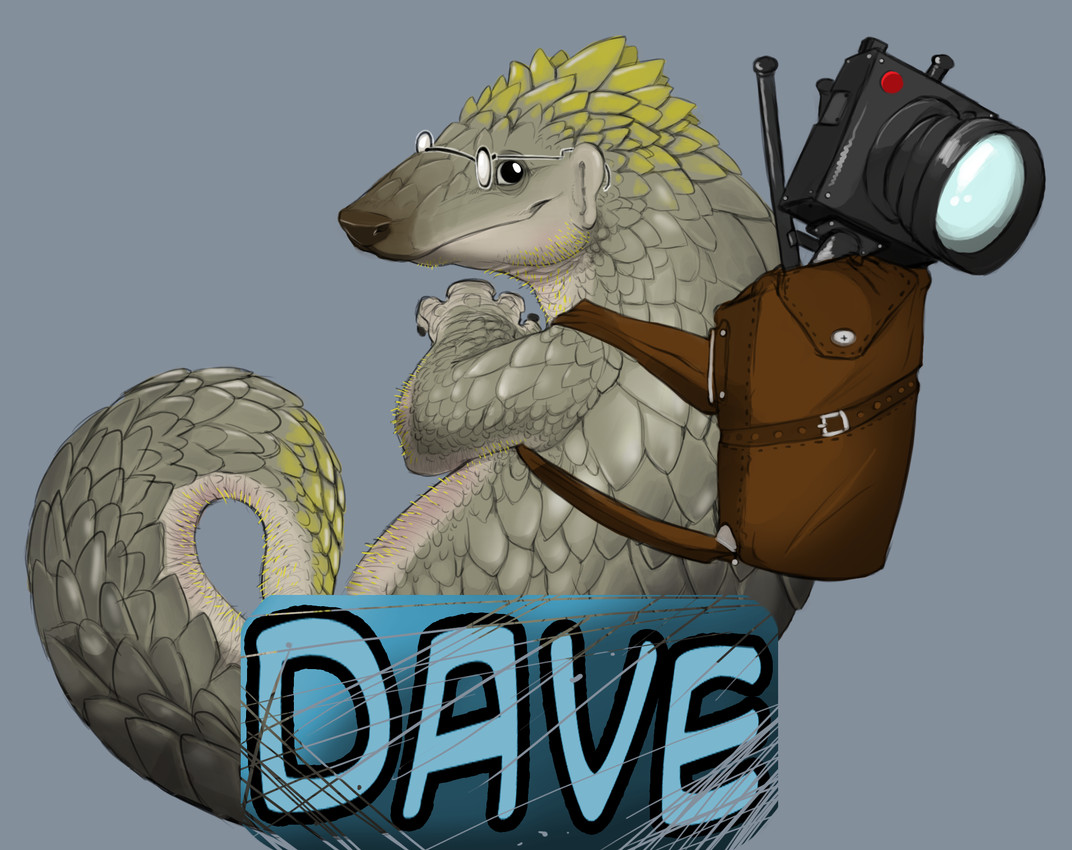 dave the pangolin created by narse