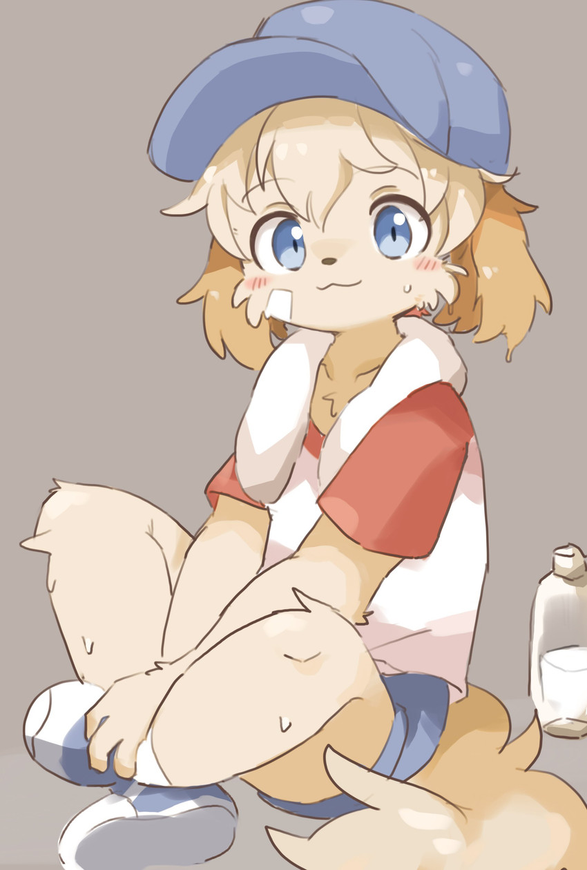 katera created by tsukiyazl