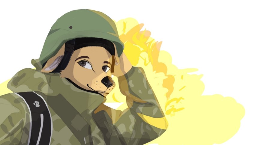 serhii sternenko (russo-ukrainian war) created by tokohoyko