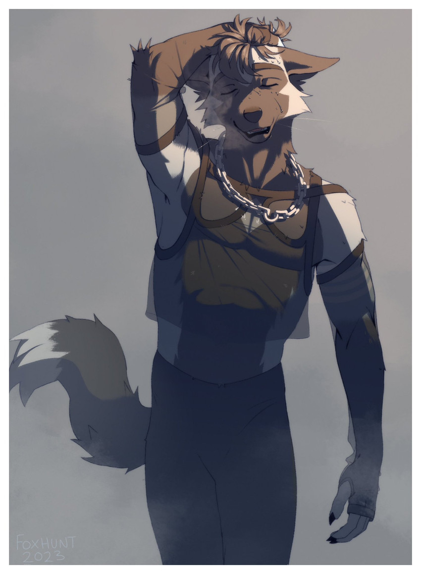 peli kan created by f0x-hunt