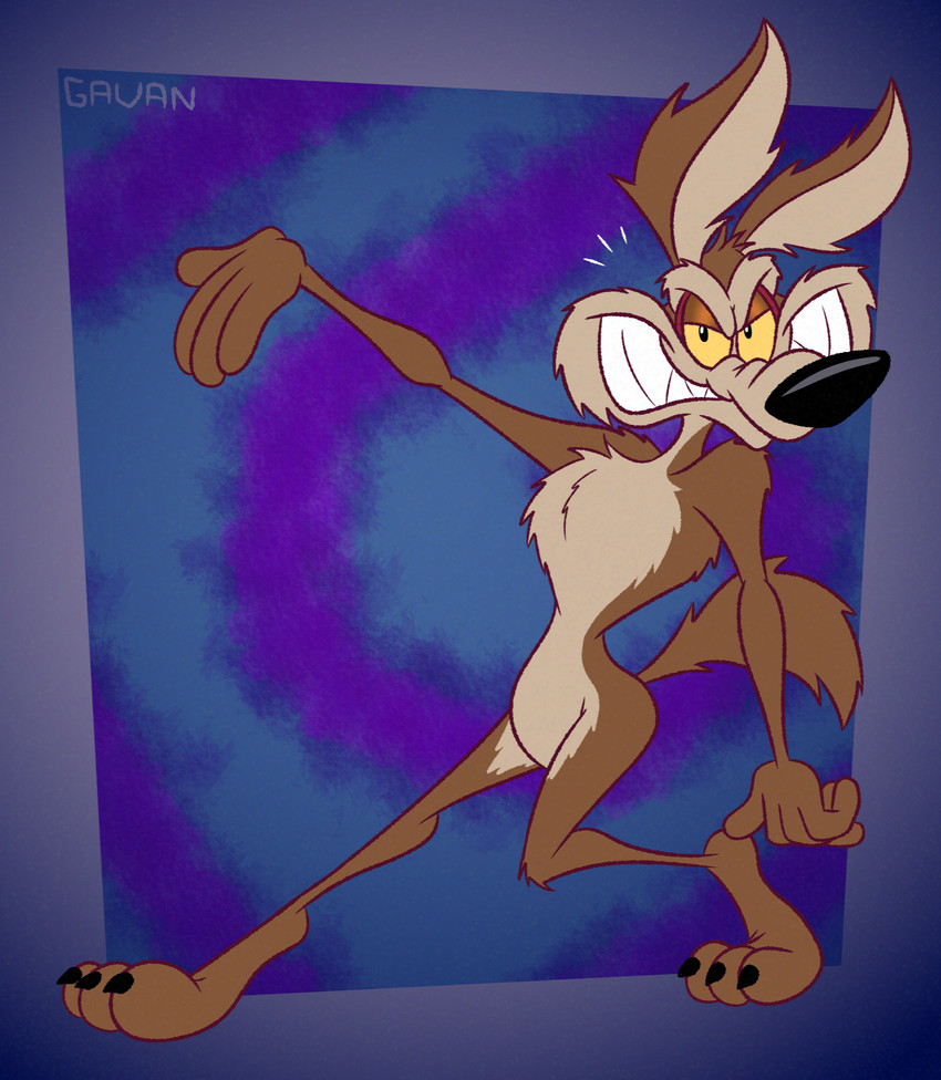 wile e. coyote (warner brothers and etc) created by gavanzude